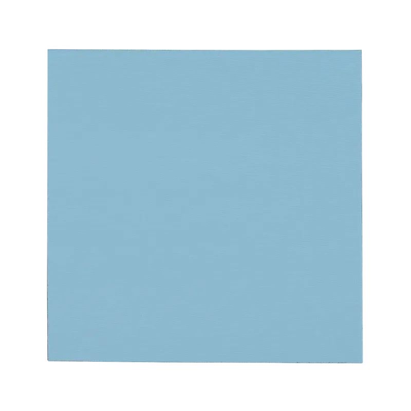 Thermal Grizzly Minus Pad Pro - 100x100x0.5 mm - Termisk platta