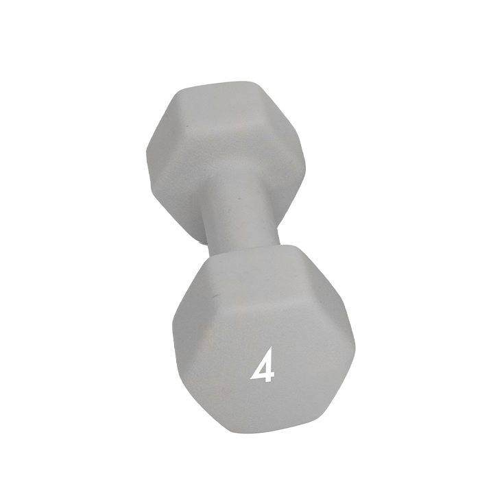 Abilica Dumbbells, 4 kg