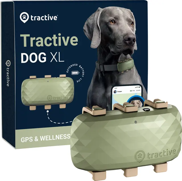Tractive Dog XL hund GPS-Tracker, grön