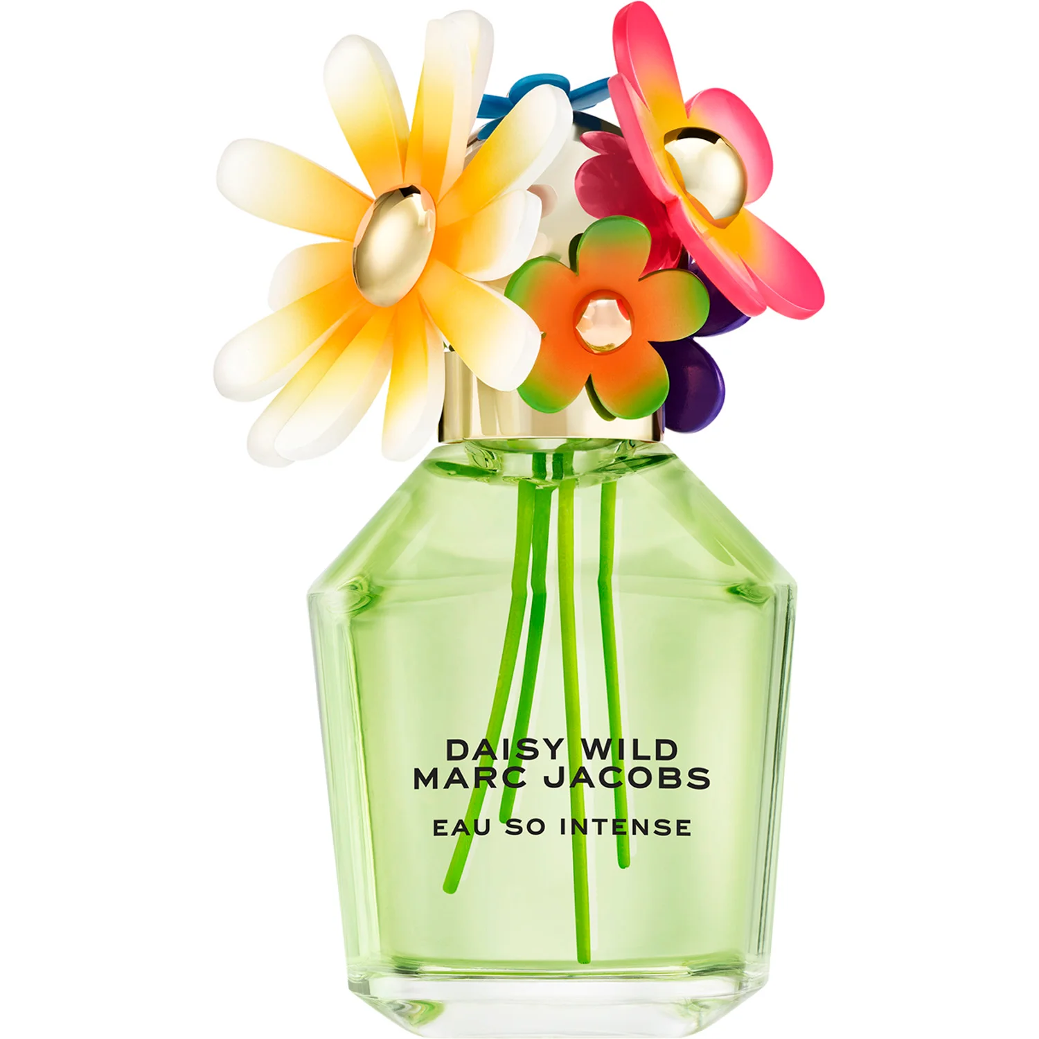 Marc Jacobs Daisy Wild Intense Eau de Parfum 100 ml