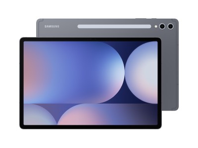 Samsung Galaxy Tab S10+ 5G 256 GB, Moonstone Grey