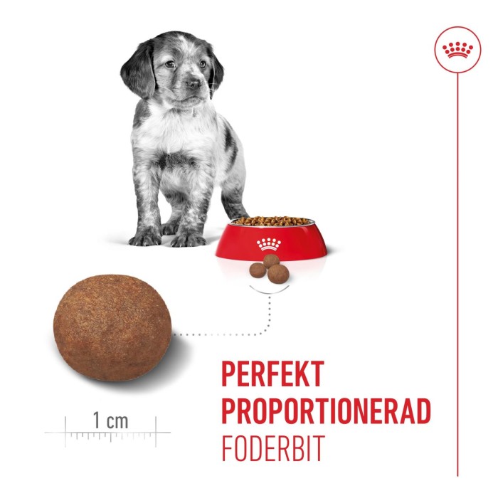 Royal Canin Medium Puppy torrfoder för hundvalp 10 kg, bild 5