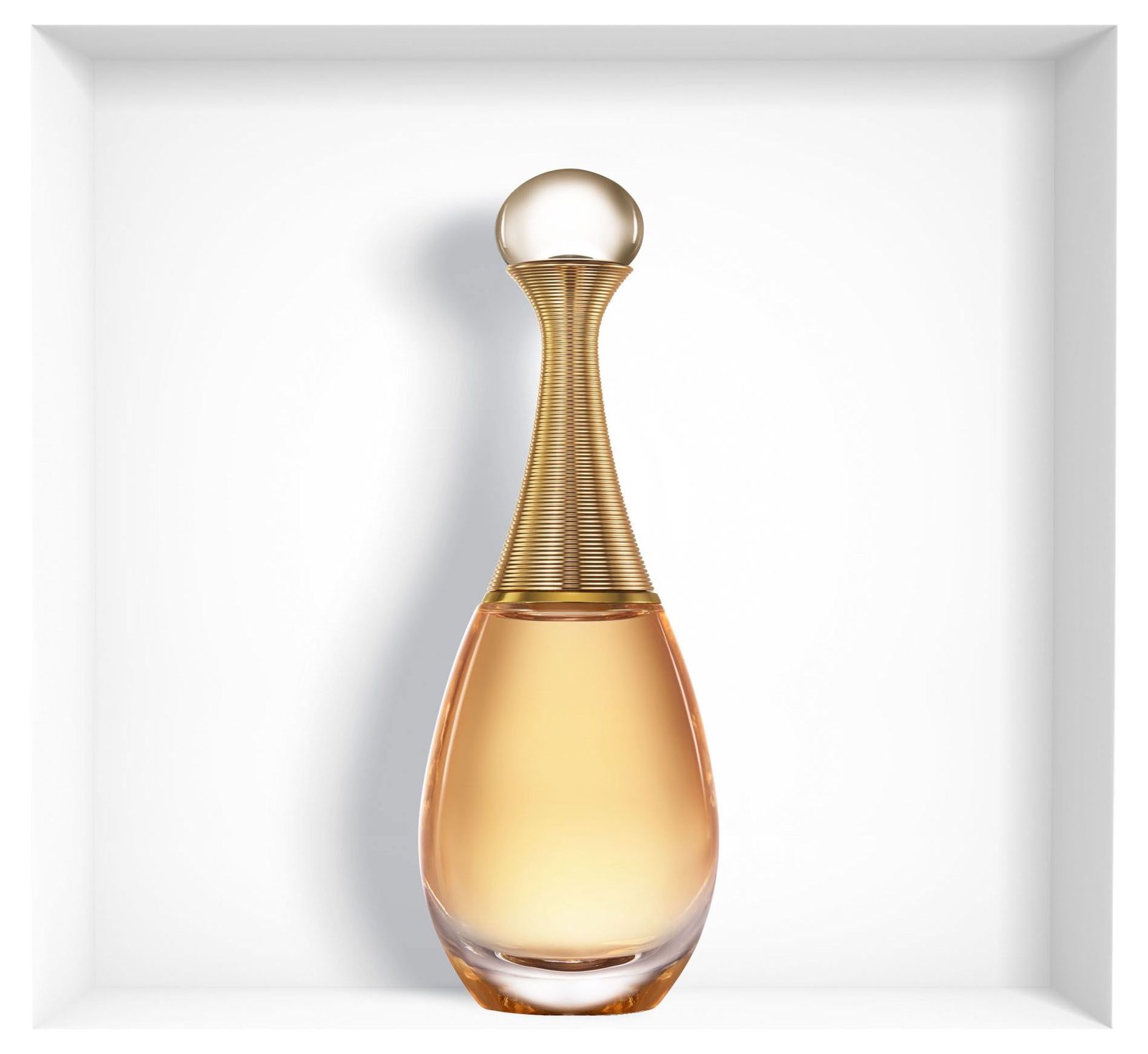 Dior J'adore Eau de Parfum 100ml, Kvinnor, EDP