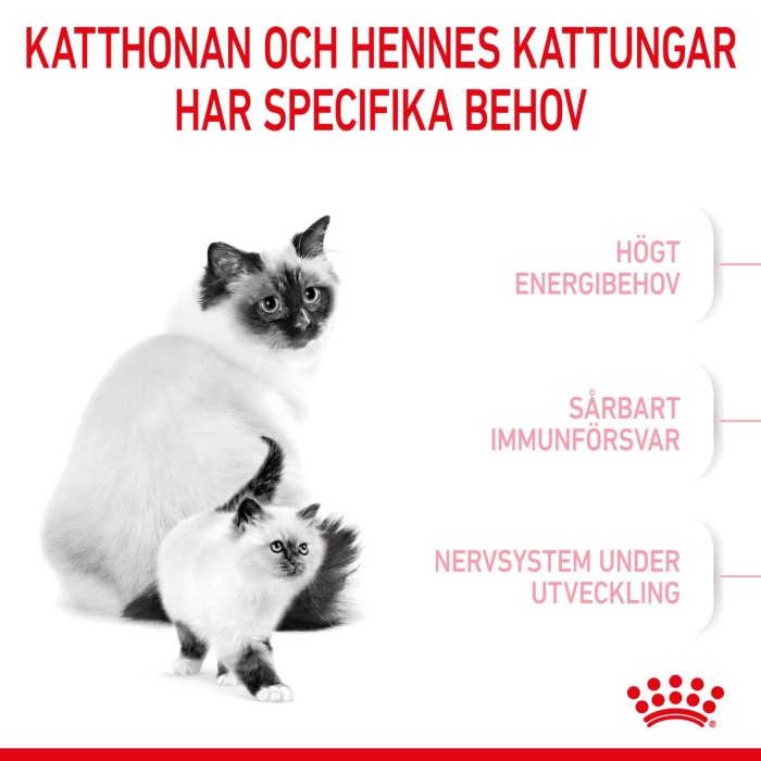 Royal Canin Mother & Babycat, 2 kg, Antioxidanter ingår, bild 5