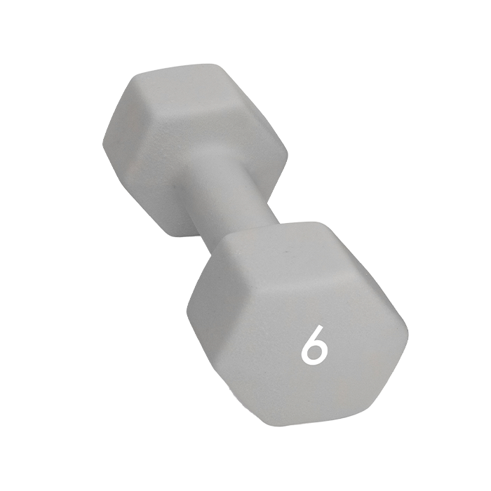 Abilica Dumbbells, 6 kg