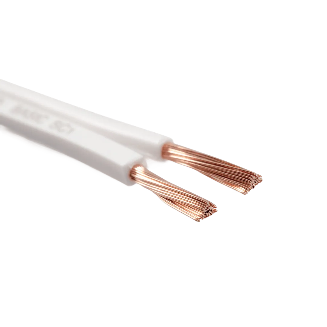 Basic Speaker Cable 1