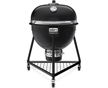 Weber Summit Kamado E6