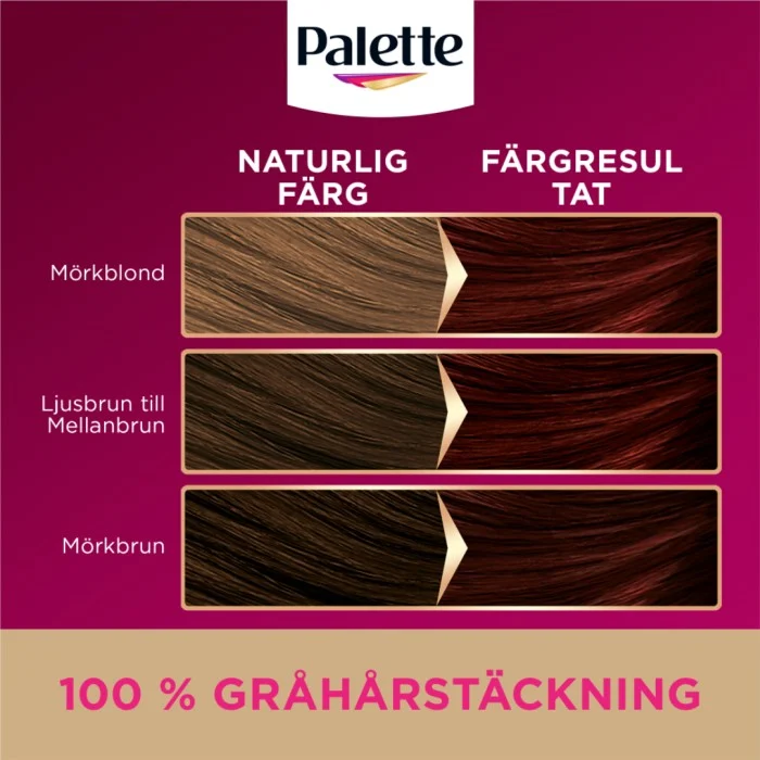 Palette Intensive Creme Coloration 4-6 Mocca Brown, bild 4