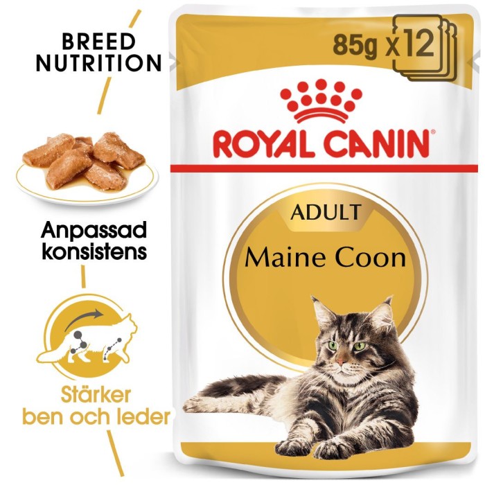 Royal Canin Maine Coon Adult Gravy Våtfoder för katt 12x85 g
