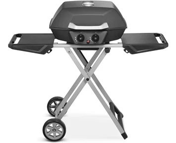 Austin and Barbeque AABQ - Supreme Portable 2 Burner Gas Grill