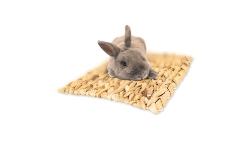 Jr Farm - Water Hyacinth Mat - 33 x 24 cm, bild 3