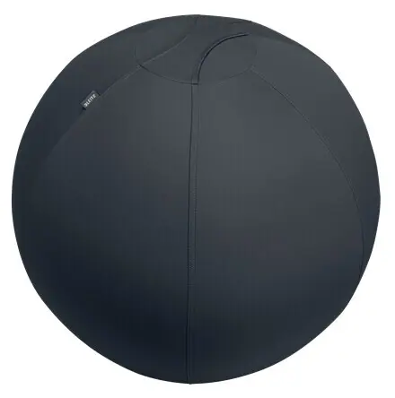 Leitz Ergo ergonomisk sittboll