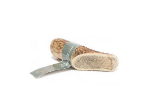 Taki - Deer antler S 10 cm - (01-605), bild 2