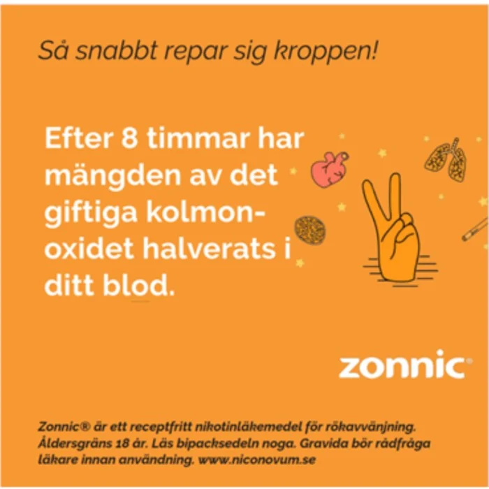 Zonnic Mint Munhålepulver Portionspåse 4mg 20 st, bild 3