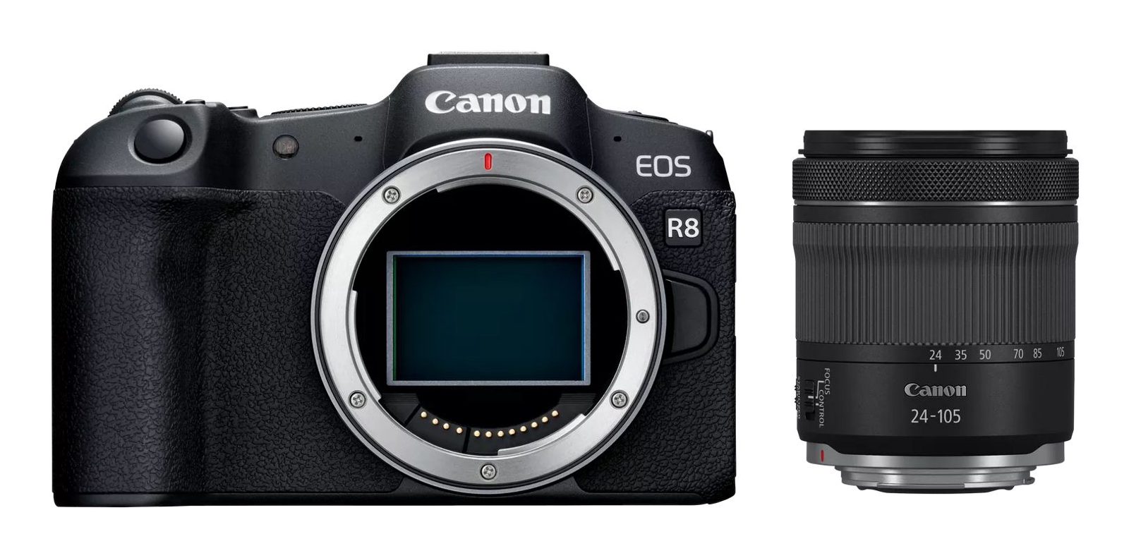 EOS R8 + RF 24-105mm f/4-7,1 IS STM