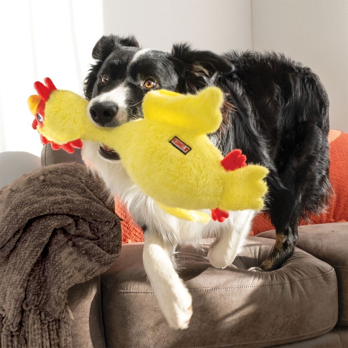 KONG Scruffs Mjukisdjur till Hund med Pipljud Kyckling M/L