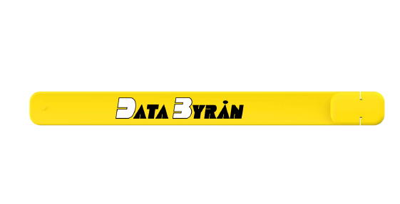 16 GB Databyrån Slap USB 2.0, bild 2