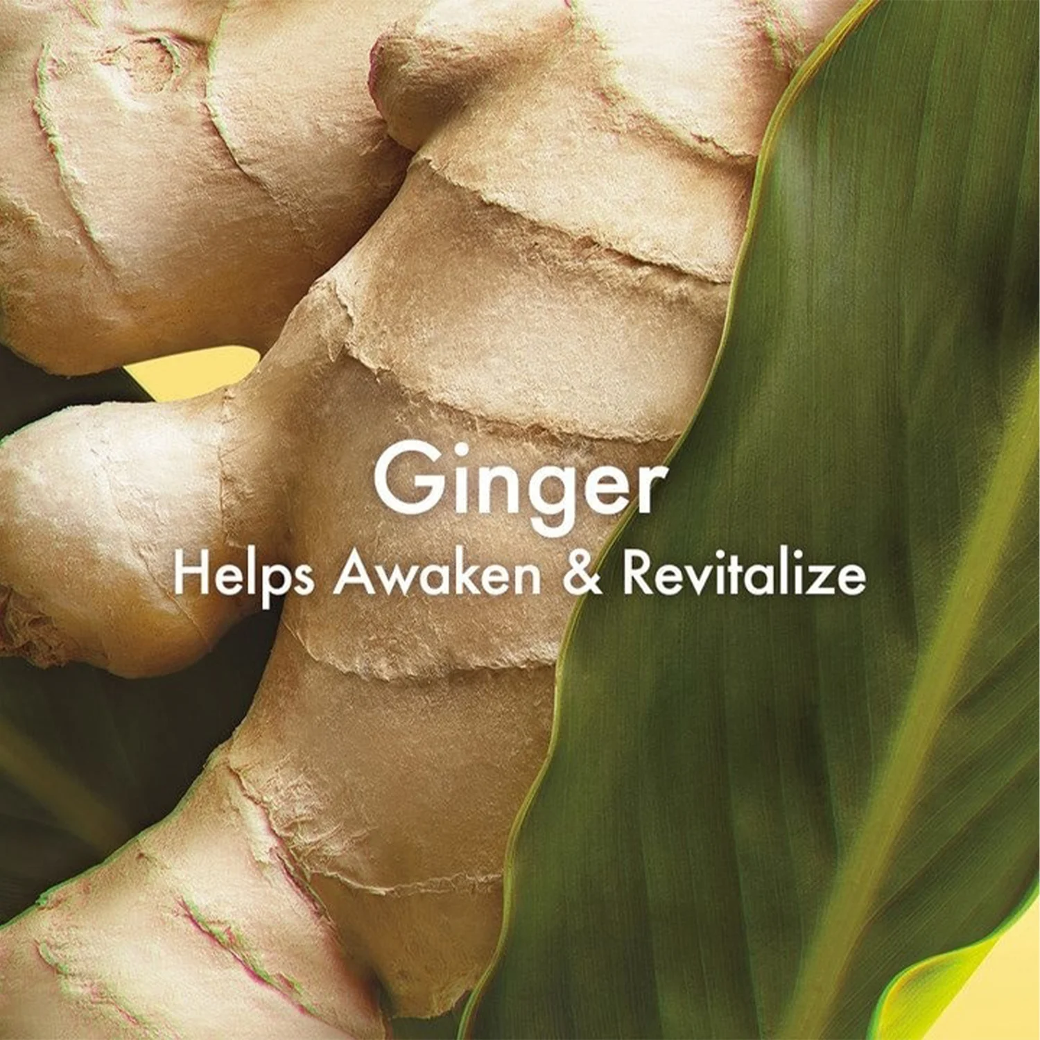 Origins Ginger Essence Sensuous Skin Scent Eau de Toilette 100 ml, bild 3