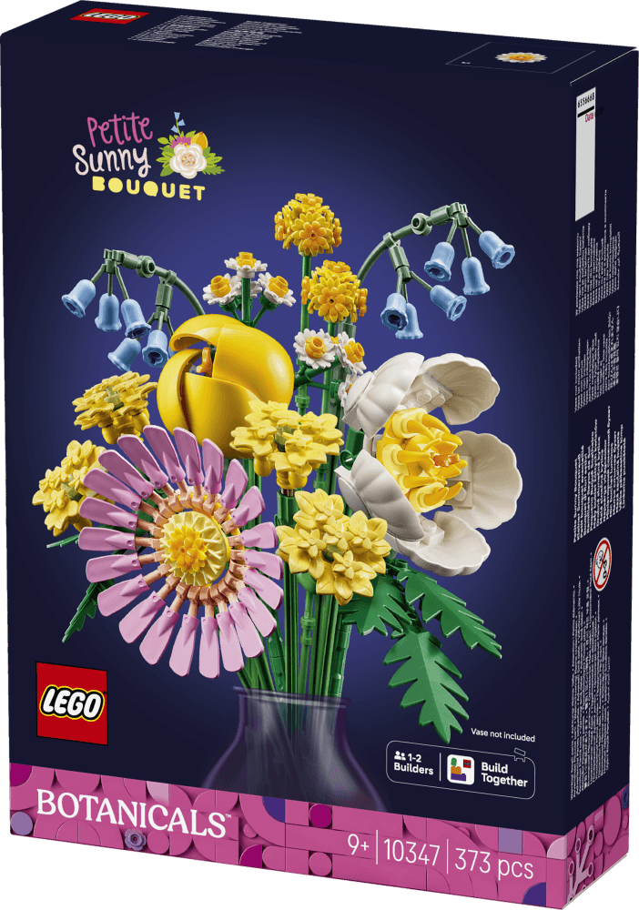LEGO Botanicals Liten sommarbukett 10347