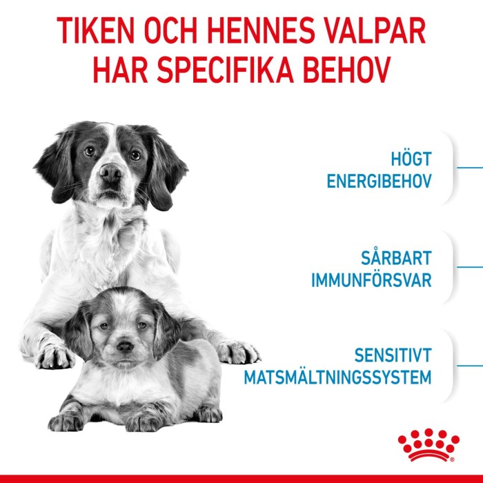 Royal Canin Medium Starter torrfoder för hund och hundvalp 4 kg, bild 4