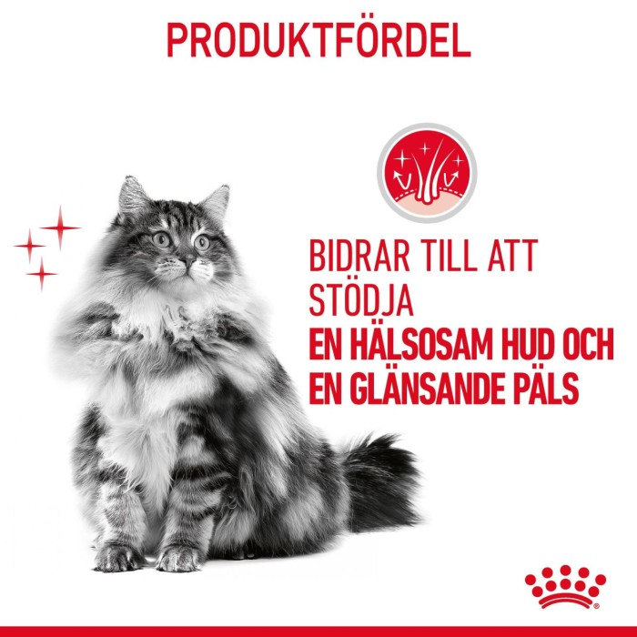 Royal Canin Hair & Skin Care Adult torrfoder för katt 2 kg, bild 4