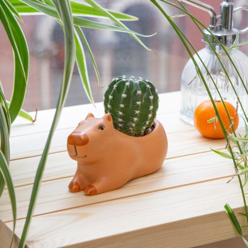 Kikkerland - Cappy the Capybara Planter Small - 4.5" x 2.5" x 2.5"