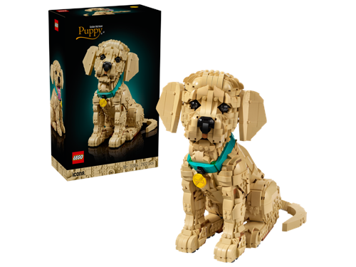LEGO Icons Golden retriever-valp 11384, bild 2