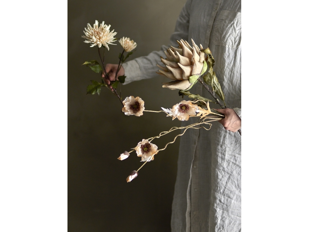 Bloomingville Protea-stjälk, natur, konstgjorda blommor