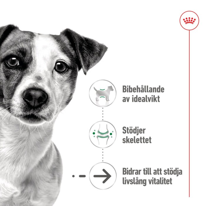 Royal Canin Mini Ageing Loaf våtfoder för hund 195 g, bild 5
