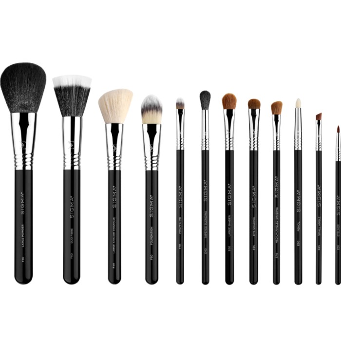 Sigma Beauty Brush Essential Kit