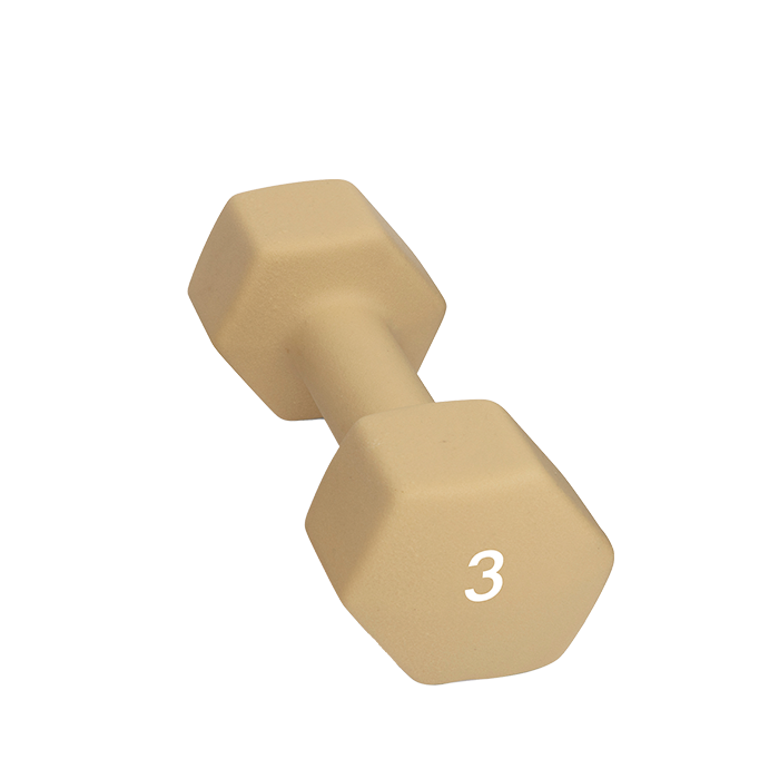 Abilica Dumbbells, 3 kg