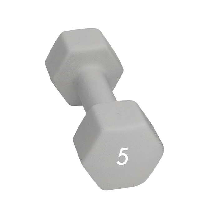 Abilica Dumbbells, 5 kg