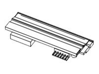 Datamax-O'Neil - 300 dpi - skrivhuvud - för I-Class Mark II I-4212e, I-4310e, I-4606e