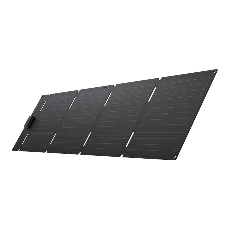 EcoFlow 60W solpanel, bild 3