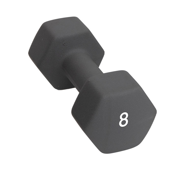 Abilica DumbBell 8 kg