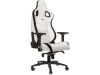 noblechairs EPIC Vit/Svart, bild 2