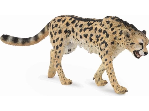 Collecta figur kungagepard (004-88608)