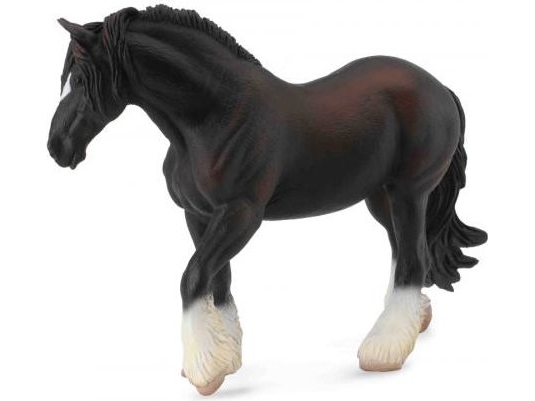 Häst hingst sto svart (XL)