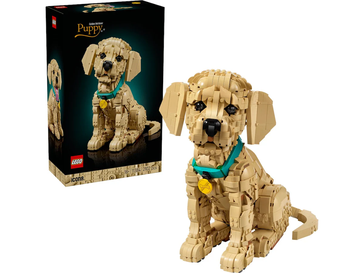 LEGO Icons Golden retriever-valp 11384