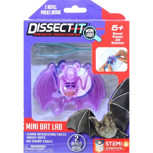 Sensory Compounds - Bat In Giftbox (12-38087)