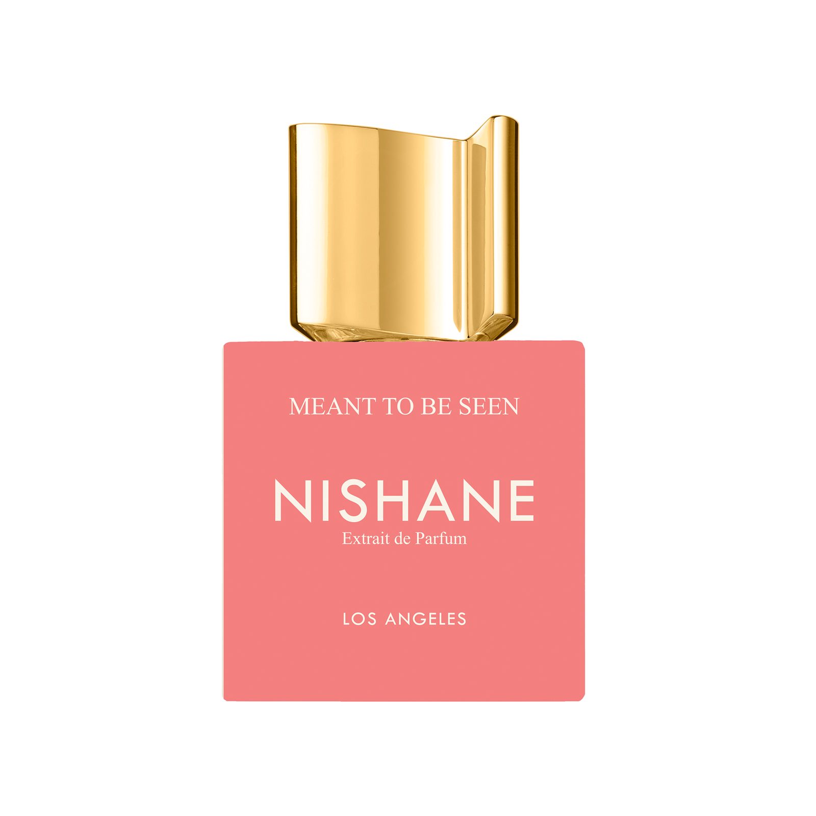 NISHANE Meant To Be Seen Eau de Parfum 100 ml, bild 3
