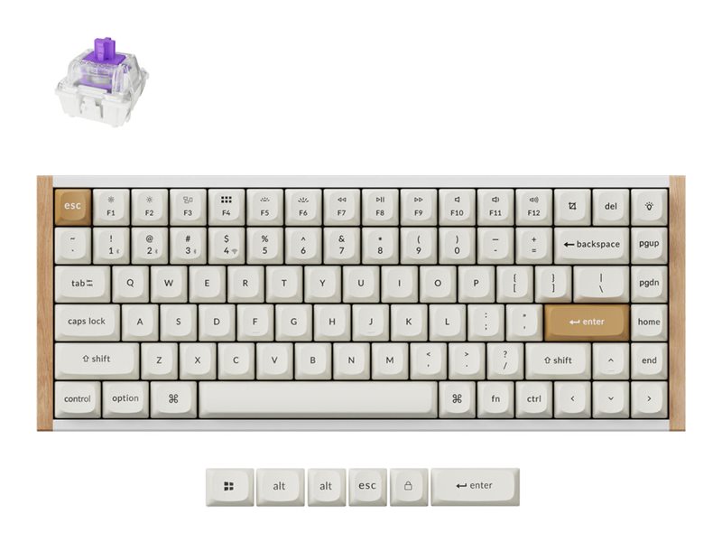 Keychron K2 HE SE - US Layout - Wired & Wireless, USB + RF Wireless + Bluetooth, Magnetic-mechanical key switch, RGB LED, White Gateron Double-Rail Nebula (hot-swappable) - White