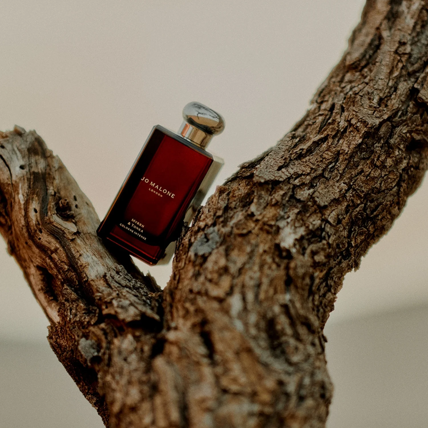 Jo Malone London Myrrh & Tonka Cologne Intense Pre-Pack Myrrh & Tonka-WN 50.0 ml, bild 5