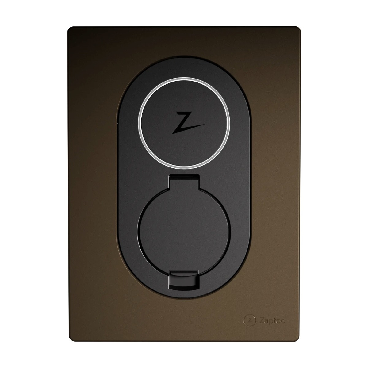 Zaptec Go Laddstationens Frontlucka, Wood brown