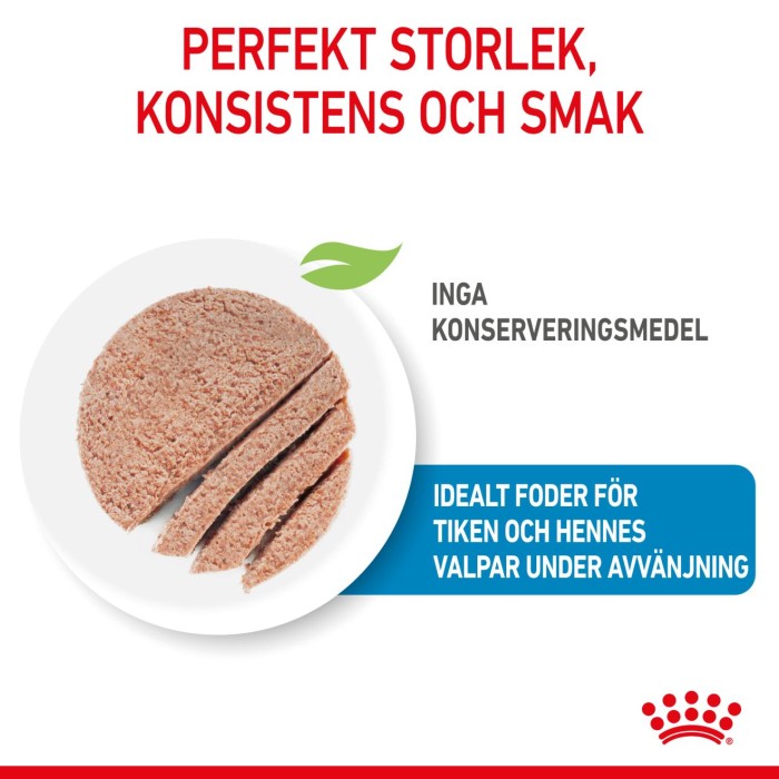 Royal Canin Mother & Babydog Starter Mousse våtfoder för hund och hundvalp 195 g, bild 3