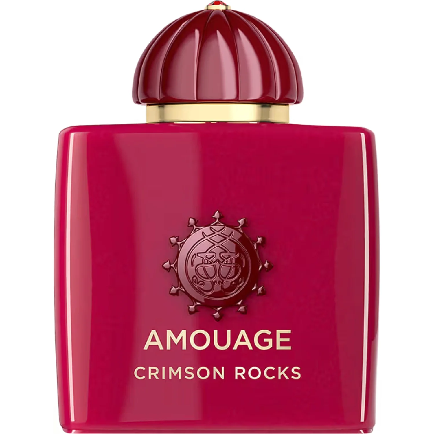 Amouage Crisom Rocks Eau de Parfum 100 ml