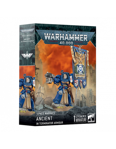 Warhammer 40K Space Marines - Ancient in Terminator Armour