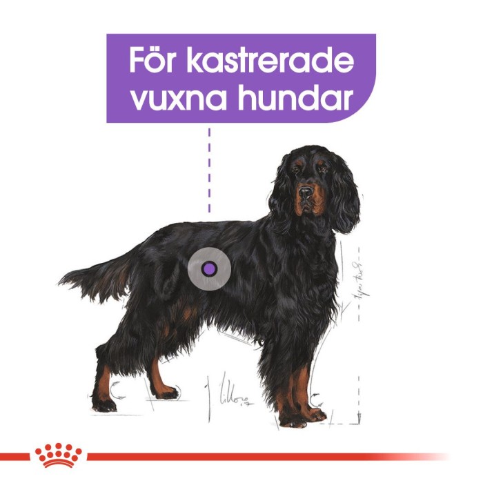 Royal Canin Sterilised Maxi Adult torrfoder för hund 12 kg, bild 5