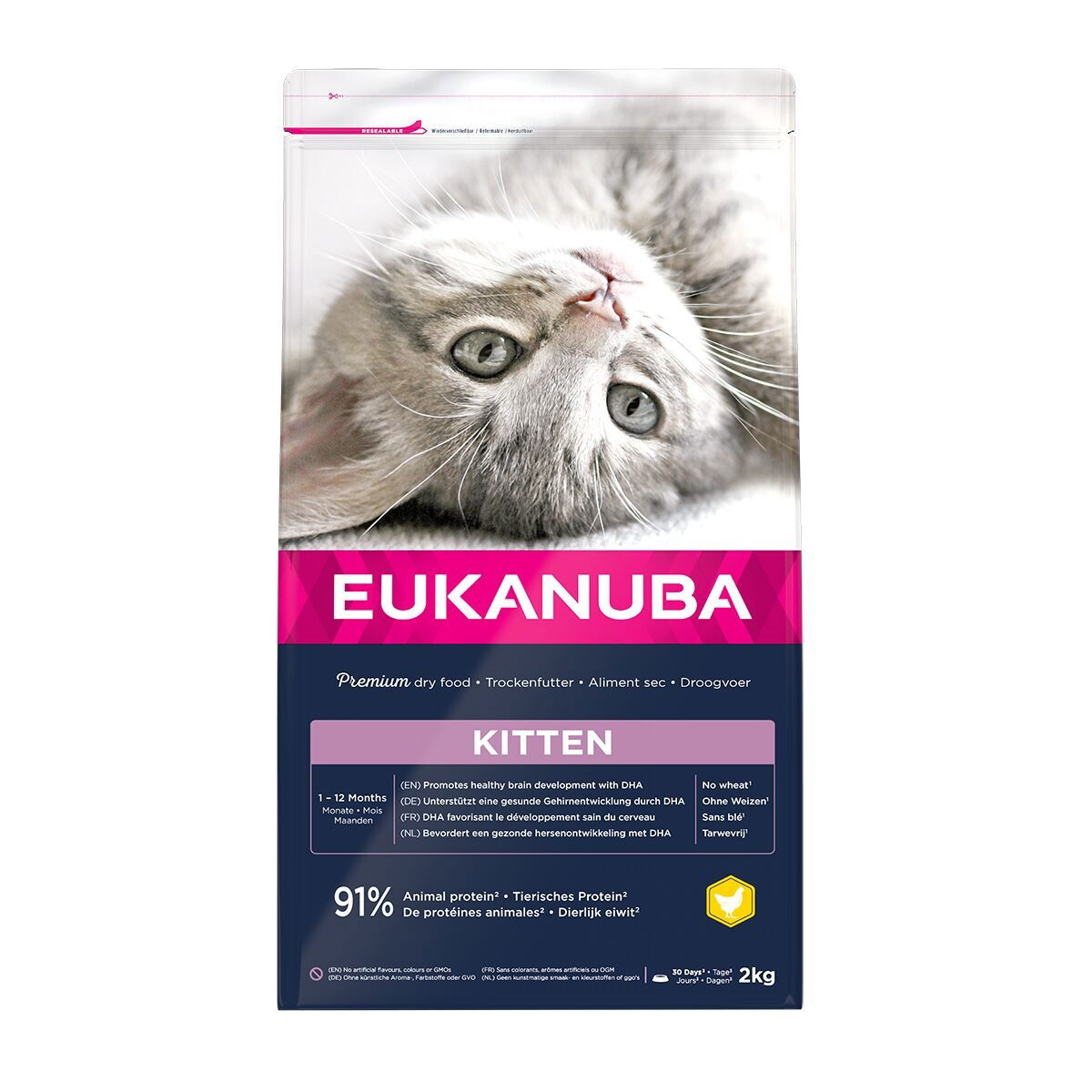 Eukanuba Kitten Healthy Start Chicken Torrfoder till Kattunge 2 kg