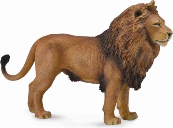 Collecta figur Afrikanskt lejon (L)